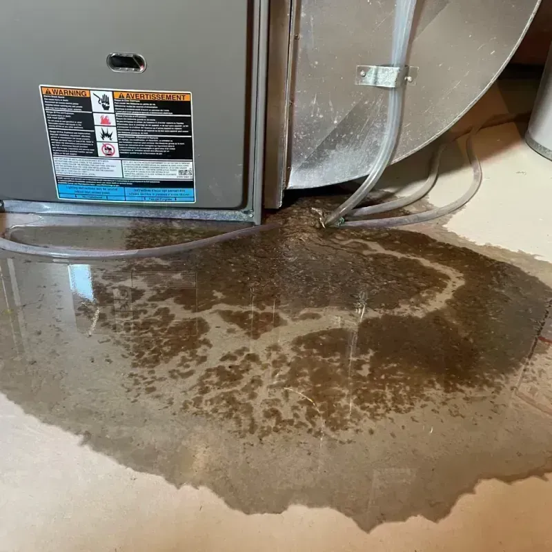 Appliance Leak Cleanup in Pelican Bay, FL